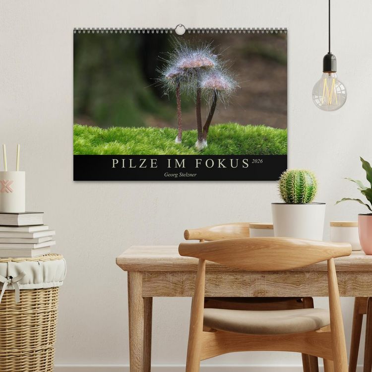 Produktbild: PILZE IM FOKUS 2026 (Wandkalender 2026 DIN A3 quer), CALVENDO Monatskalender