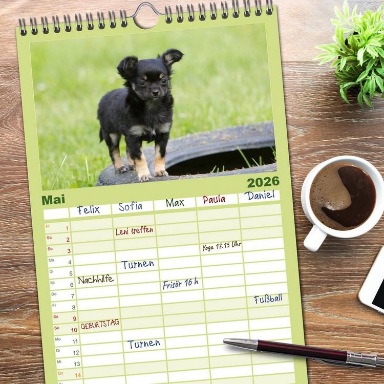 Produktbild: Familienplaner 2026 - Chihuahuas - kleine Herzensbrecher mit 5 Spalten (Wandkalender, 21 x 45 cm) CALVENDO