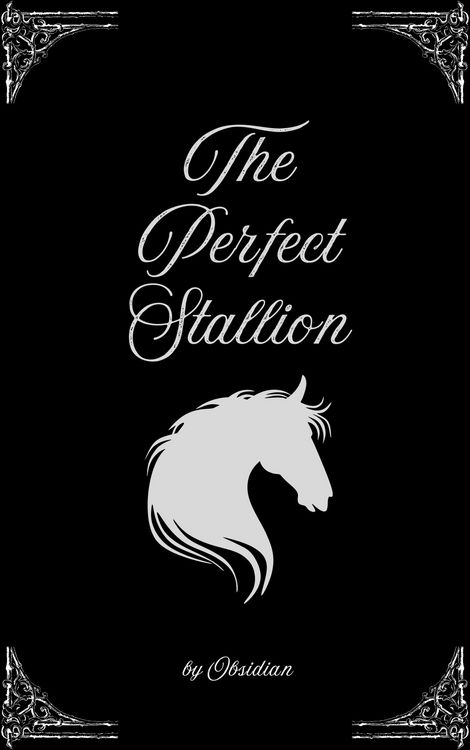 Produktbild: The Perfect Stallion