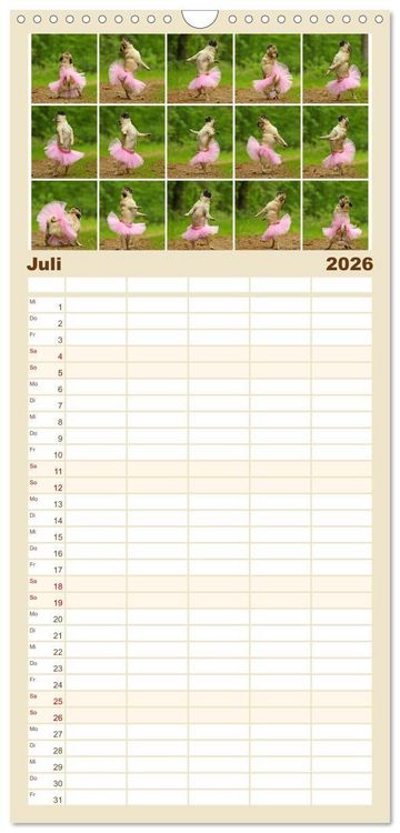 Produktbild: Familienplaner 2026 - Lustige M&ouml;pse aus der Hundeknipserei mit 5 Spalten (Wandkalender, 21 x 45 cm) CALVENDO