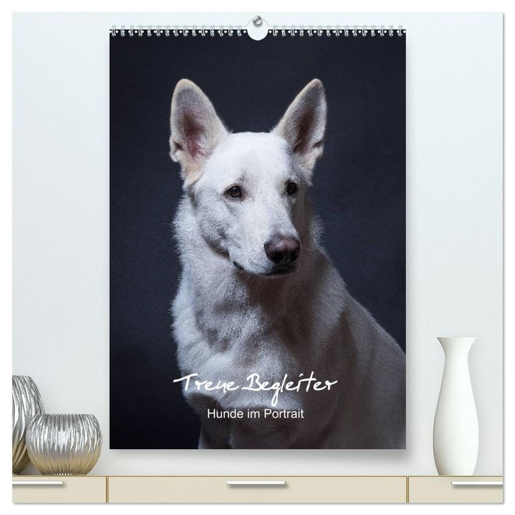 Produktbild: Treue Wegbegleiter, Hunde im Portrait. (hochwertiger Premium Wandkalender 2026 DIN A2 hoch), Kunstdruck in Hochglanz