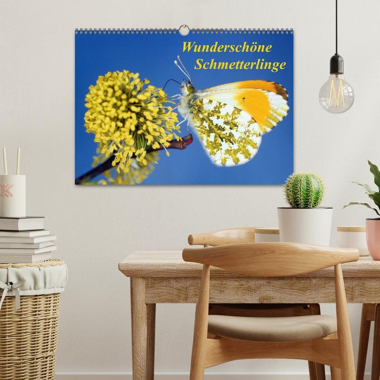 Produktbild: Wundersch&ouml;ne Schmetterlinge (Wandkalender 2026 DIN A3 quer), CALVENDO Monatskalender
