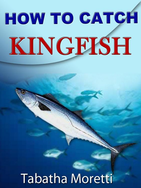 Produktbild: How To Catch Kingfish