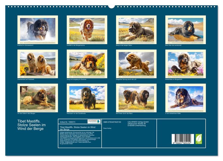 Produktbild: Tibet Mastiffs. Stolze Seelen im Wind der Berge (hochwertiger Premium Wandkalender 2026 DIN A2 quer), Kunstdruck in Hochglanz