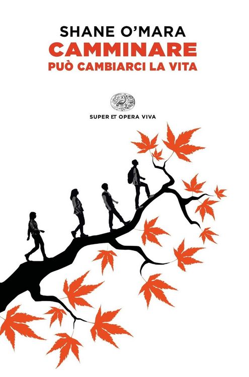 Produktbild: Camminare pu&ograve; cambiarci la vita