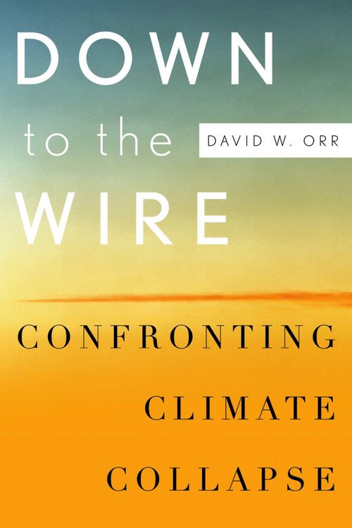 Produktbild: Down to the Wire