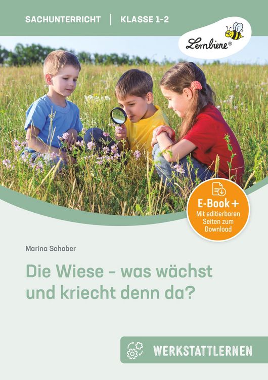 Produktbild: Die Wiese - was w&auml;chst und kriecht denn da?