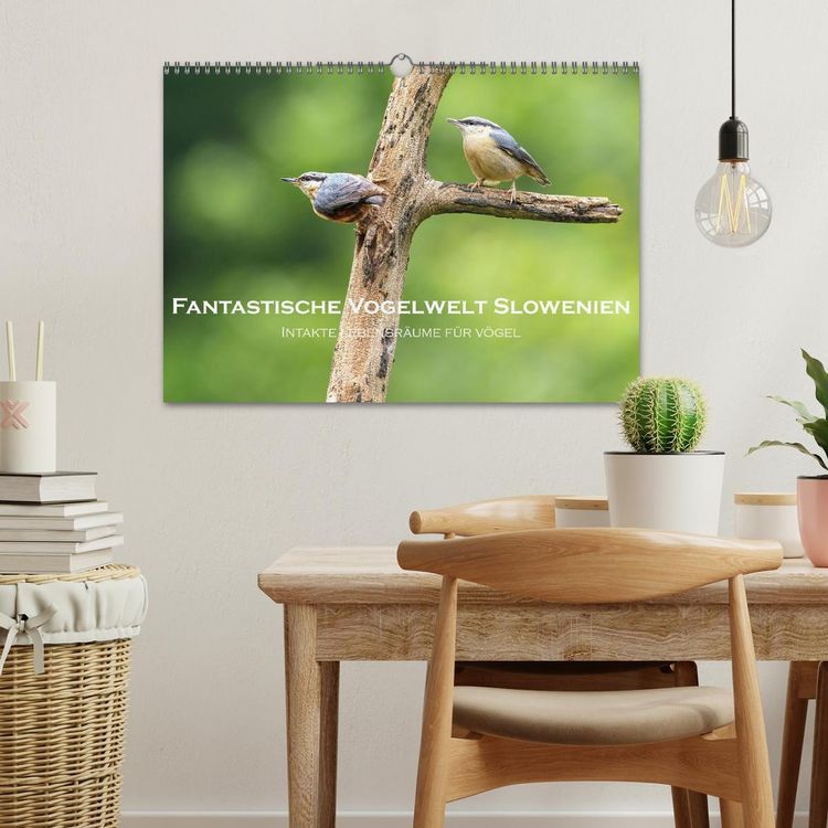 Produktbild: Fantastische Vogelwelt Slowenien (Wandkalender 2026 DIN A3 quer), CALVENDO Monatskalender