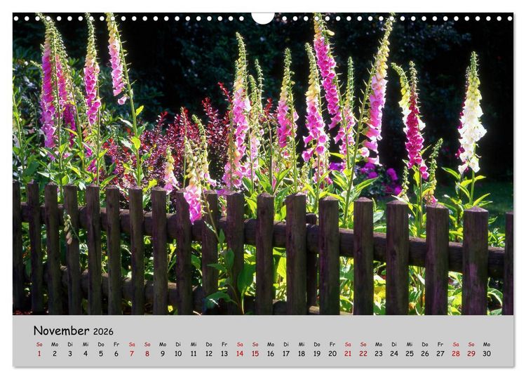 Produktbild: Blumen &uuml;berall, zur Freude Menschen (Wandkalender 2026 DIN A3 quer), CALVENDO Monatskalender