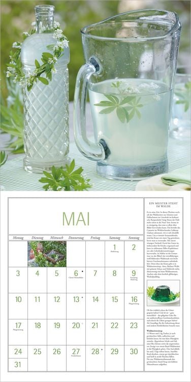 Produktbild: DuMonts Kr&auml;uter Kalender 2027
