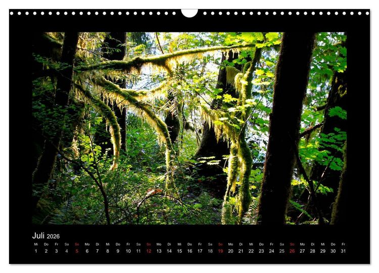 Produktbild: W&auml;lder, fotografiert auf vier Kontinenten (Wandkalender 2026 DIN A3 quer), CALVENDO Monatskalender