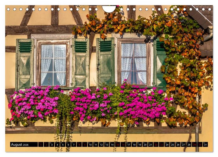 Produktbild: Augenschmaus Pfalz (Wandkalender 2026 DIN A4 quer), CALVENDO Monatskalender