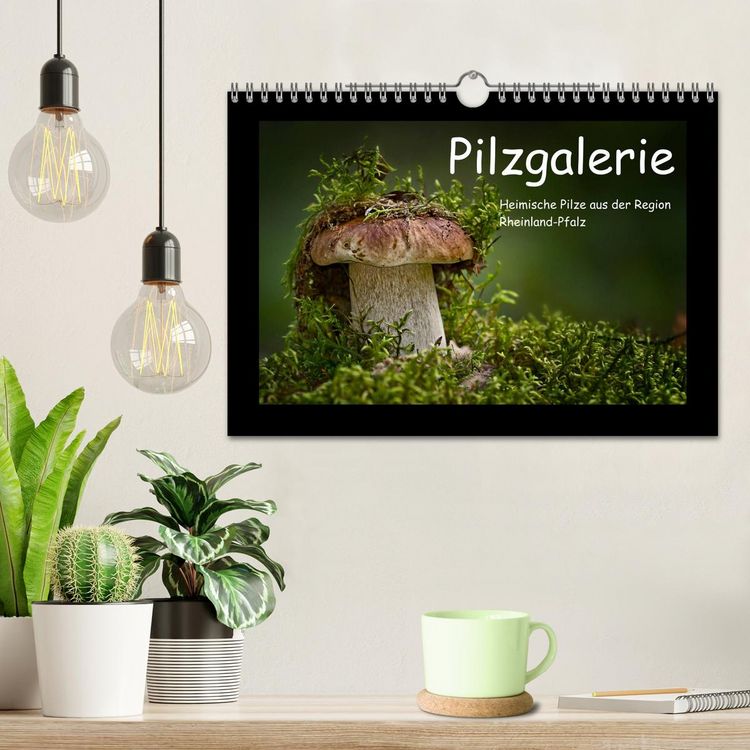 Produktbild: Pilzgalerie - Heimische Pilze aus der Region Rheinland-Pfalz (Wandkalender 2026 DIN A4 quer), CALVENDO Monatskalender