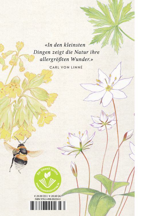 Produktbild: Die Wildblumensammlerin