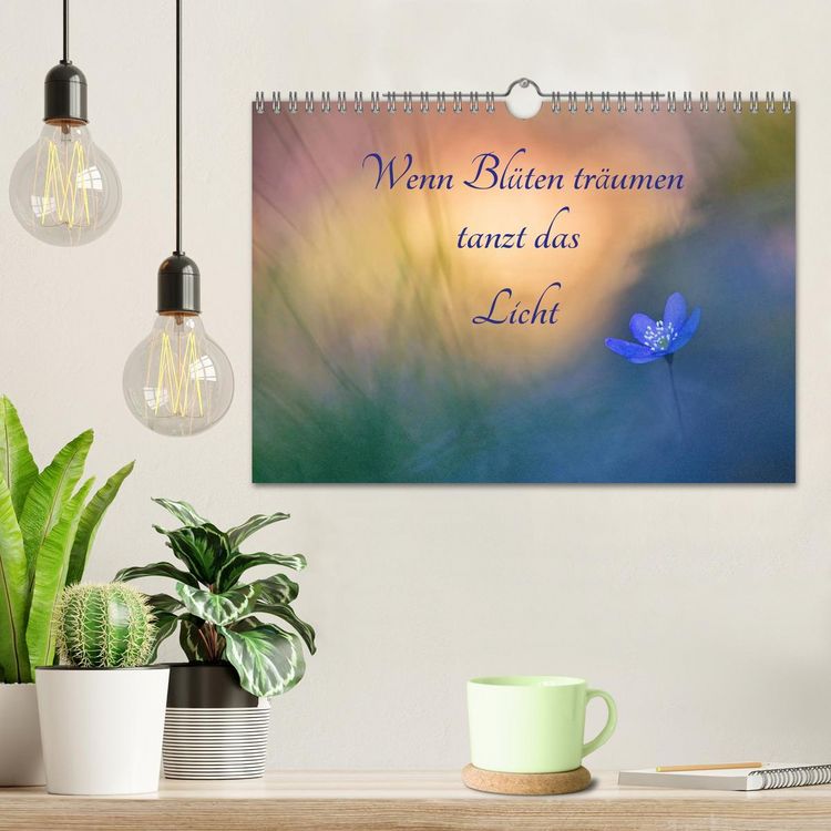 Produktbild: Wenn Bl&uuml;ten tr&auml;umen tanzt das Licht (Wandkalender 2026 DIN A4 quer), CALVENDO Monatskalender