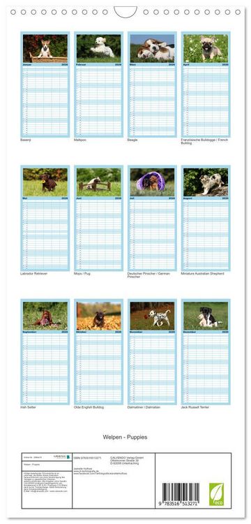 Produktbild: Familienplaner 2026 - Welpen - Puppies mit 5 Spalten (Wandkalender, 21 x 45 cm) CALVENDO
