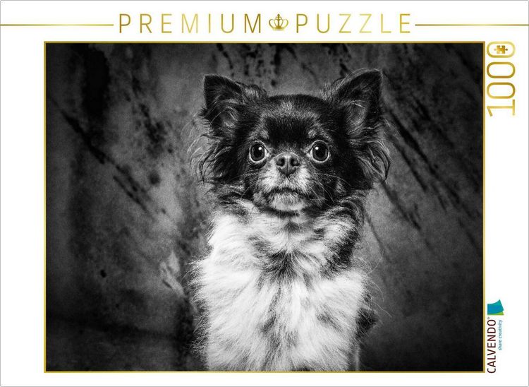 Produktbild: CALVENDO Puzzle Chihuahua | 1000 Teile Lege-Gr&ouml;&szlig;e 64x48cm Foto-Puzzle f&uuml;r gl&uuml;ckliche Stunden