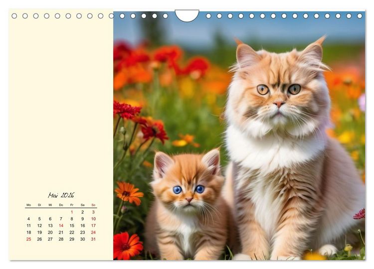 Produktbild: Samtpfoten im Bl&uuml;tenmeer (Wandkalender 2026 DIN A4 quer), CALVENDO Monatskalender