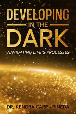 Produktbild: Developing In The Dark
