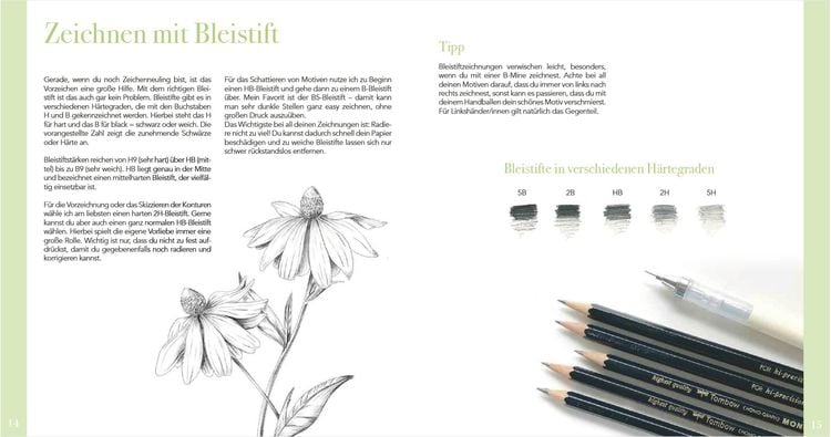 Produktbild: Das wundervolle Buch der Waldmotive