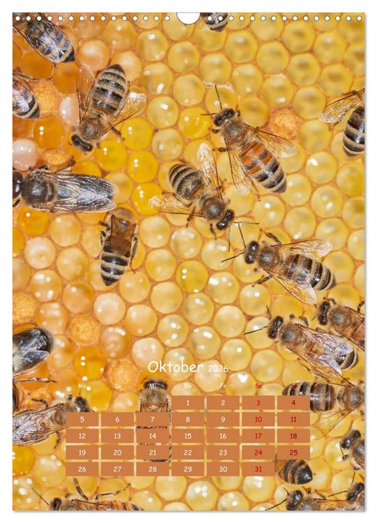 Produktbild: Gesch&auml;ftig wie im Bienenstock (Wandkalender 2026 DIN A3 hoch), CALVENDO Monatskalender