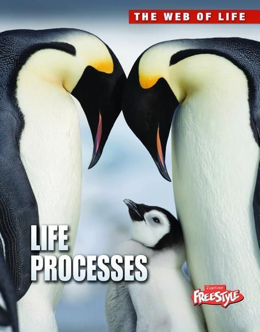 Produktbild: Life Processes