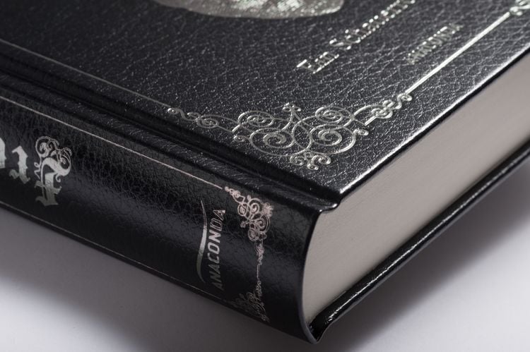 Produktbild: Mary Shelley, Frankenstein. Ein Schauerroman
