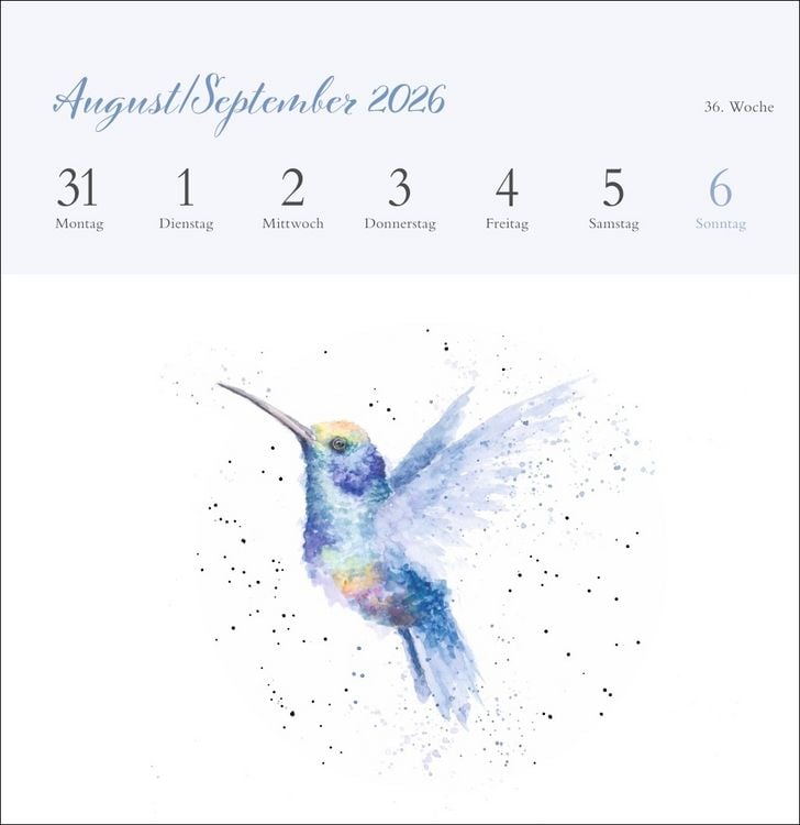 Produktbild: Hannah Dale: Happy Animals Premium-Postkartenkalender 2026