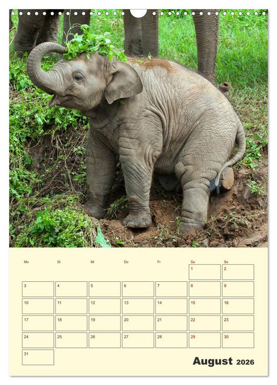 Produktbild: ELEFANTEN - Asiens graue Riesen (Wandkalender 2026 DIN A3 hoch), CALVENDO Monatskalender