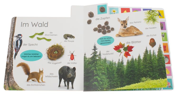 Produktbild: Erstes Lernen. In der Natur