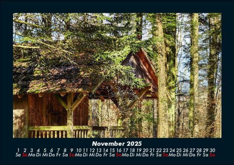 Produktbild: B&auml;ume 2025 Fotokalender DIN A5