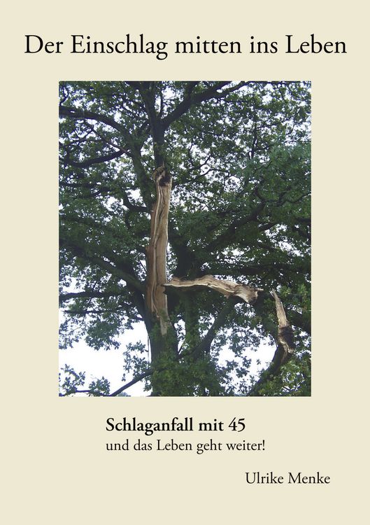 Produktbild: Der Einschlag mitten ins Leben