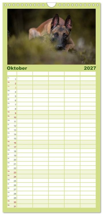 Produktbild: Familienplaner 2027 - Belgischer Sch&auml;ferhund - Der Malinois mit 5 Spalten (Wandkalender, 21 x 45 cm) CALVENDO