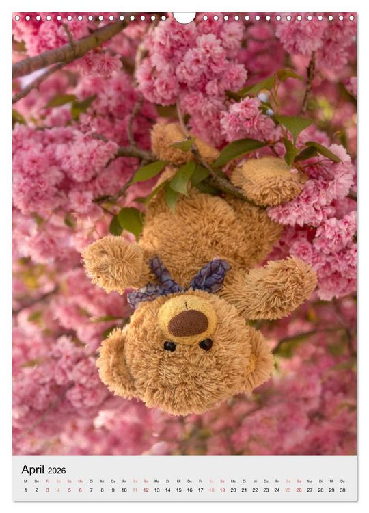 Produktbild: Travelling Teddy liebt es Bunt (Wandkalender 2026 DIN A3 hoch), CALVENDO Monatskalender
