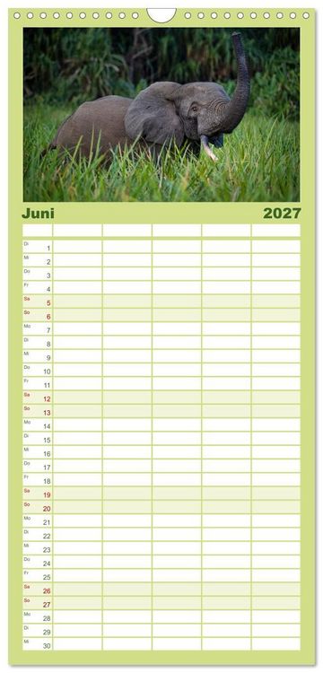 Produktbild: Familienplaner 2027 - KONGO - das dunkle Herz Afrikas mit 5 Spalten (Wandkalender, 21 x 45 cm) CALVENDO