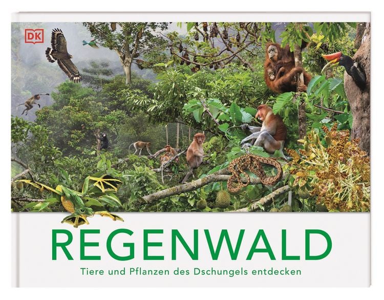 Produktbild: Regenwald