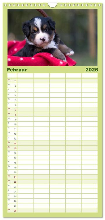 Produktbild: Familienplaner 2026 - Liebling BERNER SENNENHUND mit 5 Spalten (Wandkalender, 21 x 45 cm) CALVENDO