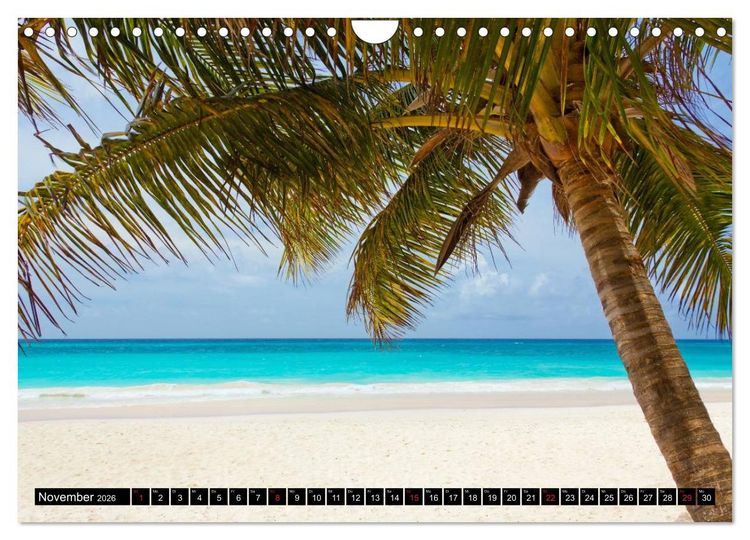 Produktbild: Brasilien. Sonne, Natur und Samba (Wandkalender 2026 DIN A4 quer), CALVENDO Monatskalender