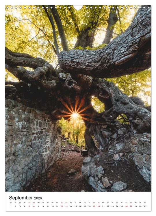 Produktbild: Mystischer Harz - Zwischen Licht und Schatten (Wandkalender 2026 DIN A3 hoch), CALVENDO Monatskalender