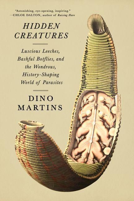 Produktbild: Hidden Creatures