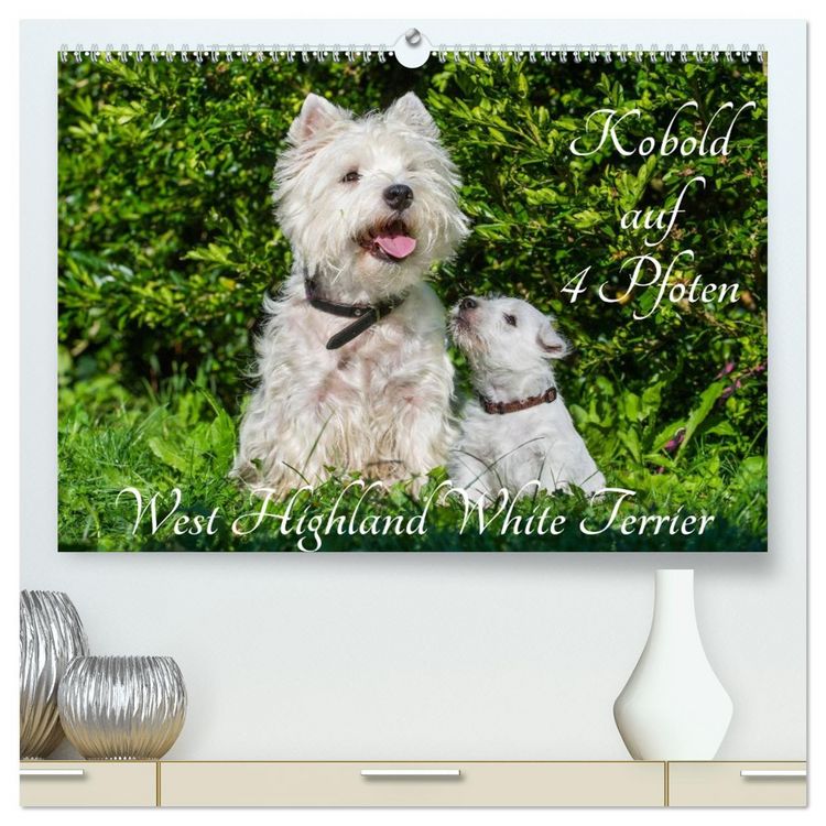 Produktbild: Kobold auf 4 Pfoten - West Highland White Terrier (hochwertiger Premium Wandkalender 2026 DIN A2 quer), Kunstdruck in Hochglanz