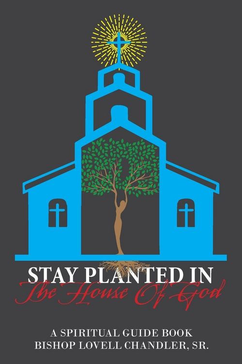 Produktbild: Stay Planted in the House of God