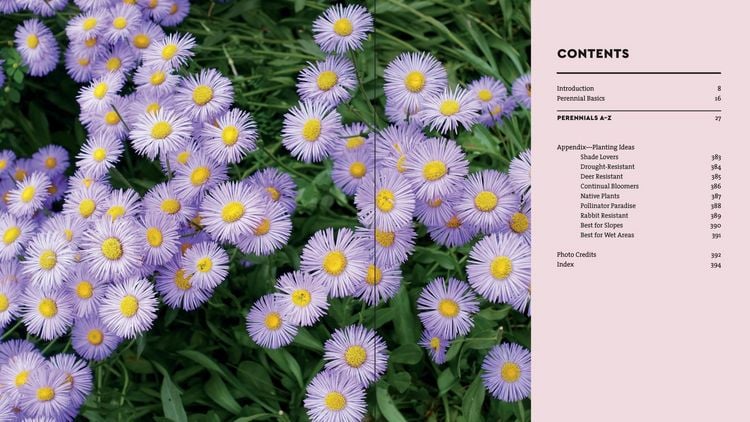 Produktbild: Perennials for the Pacific Northwest