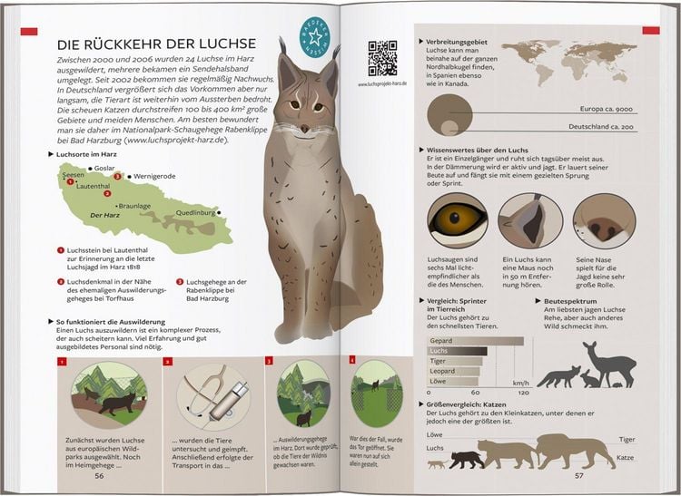 Produktbild: Baedeker Reisef&uuml;hrer Harz
