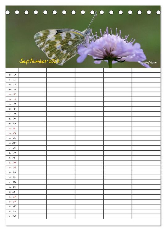 Produktbild: Schmetterlinge in Bayern (Tischkalender 2026 DIN A5 hoch), CALVENDO Monatskalender