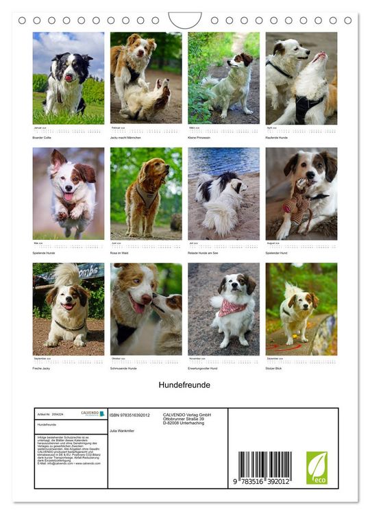 Produktbild: Hundefreunde (Wandkalender 2026 DIN A4 hoch), CALVENDO Monatskalender