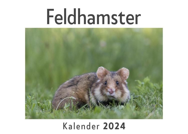 Produktbild: Feldhamster (Wandkalender 2024, Kalender DIN A4 quer, Monatskalender im Querformat mit Kalendarium, Das perfekte Geschenk)