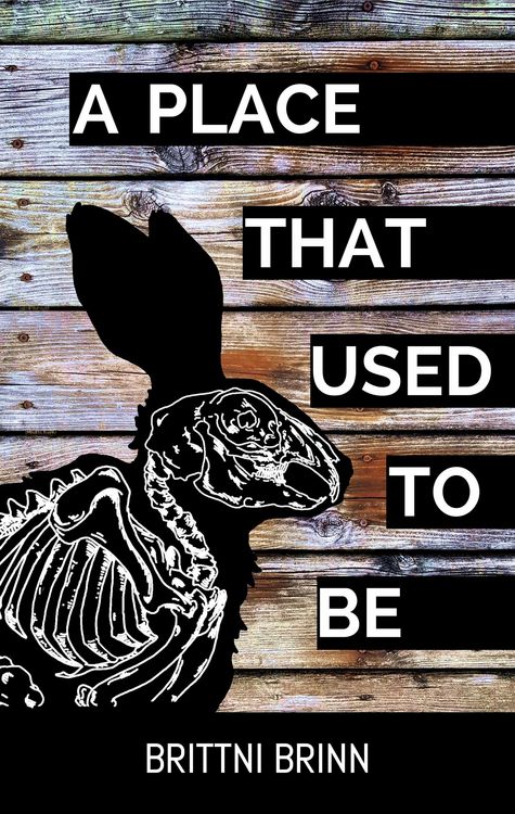Produktbild: A Place That Used to Be (The Patch Project, #2)