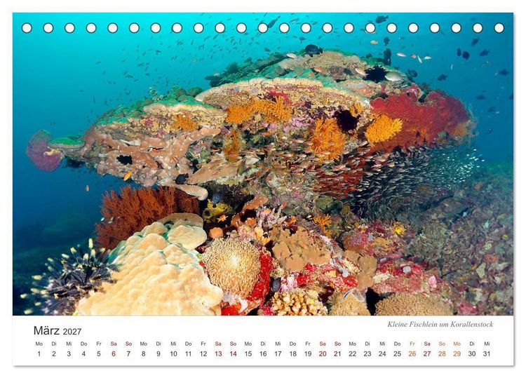Produktbild: Unterwasser - eine bunte Welt (Tischkalender 2027 DIN A5 quer), CALVENDO Monatskalender