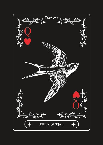 Produktbild: The Crane and the Nightjar